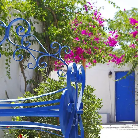 Hotell Palm - Adults Only