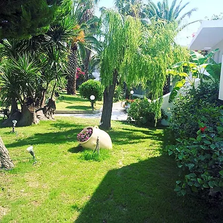 Palm - Adults Only