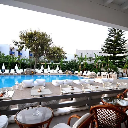 Hotell Palm - Adults Only Kos