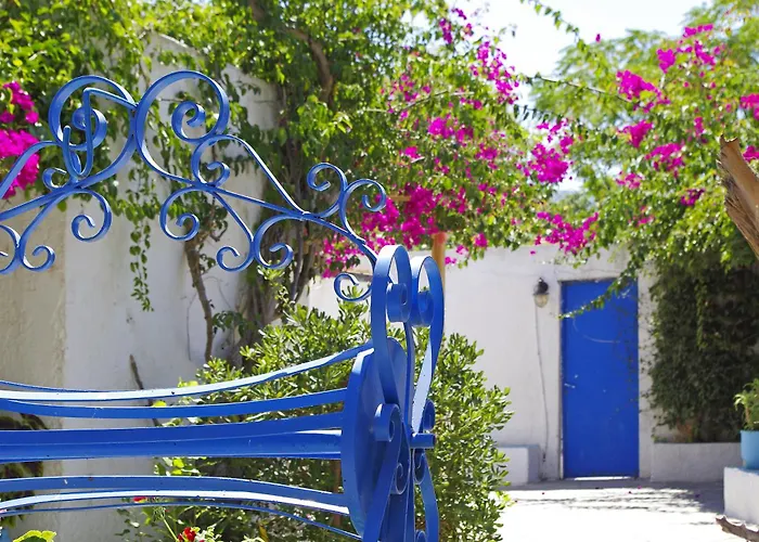 Otel Palm - Adults Only